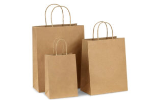 PAPER-BAG-01